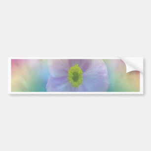 Colourful Dreams Bumper Sticker