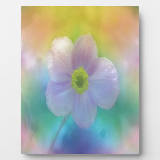 Colourful Dreams Plaque (Front)