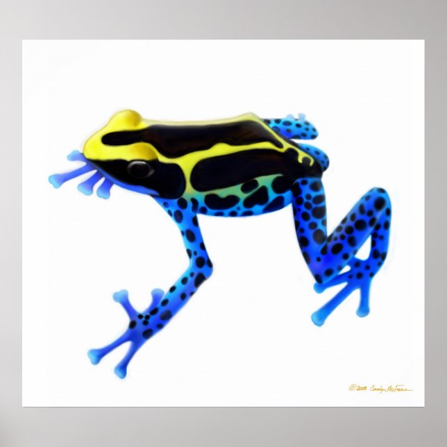 Colourful Dyeing Poison Frog Print (Front)