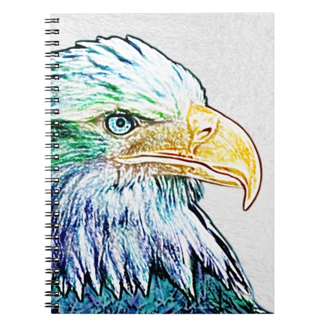 Colourful Eagle Sketch Notebook (Front)