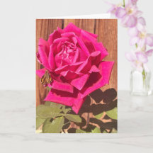 Colourful Elegant Pink Floral Pink Flower