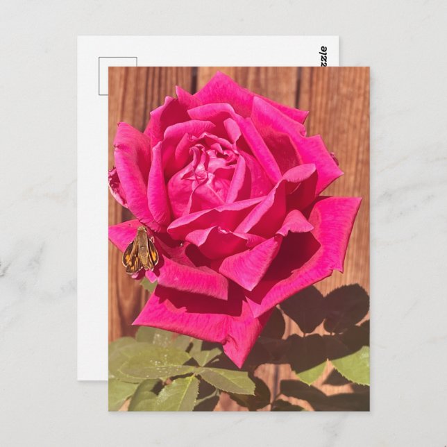 Colourful Elegant Pink Floral Pink Flower Postcard (Front/Back)