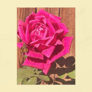 Colourful Elegant Pink Floral Pink Flower Postcard