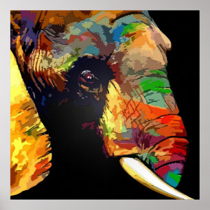 Colourful Elephant Head Portrait Drawing Poster