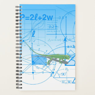 Colourful Equations Geometric Designs Lizard Small Planner