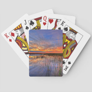 Colourful Everglades, Florida, Playing Cards