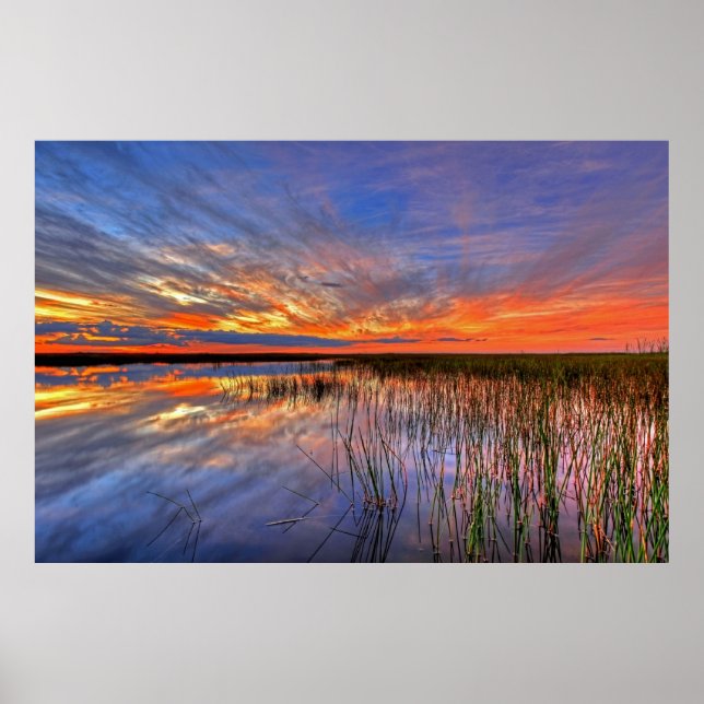 Colourful Everglades, Florida, Poster (Front)