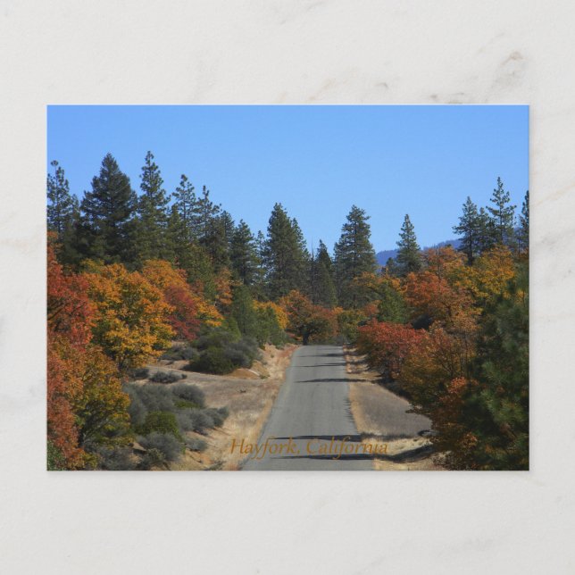 Colourful Ewing Reservoir in the Fall.... Postcard (Front)