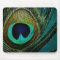 Colourful Exotic Peacock Feather Modern Photograph