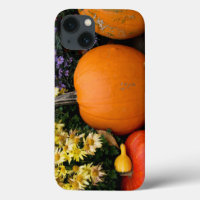Colourful fall decorative pumpkin display