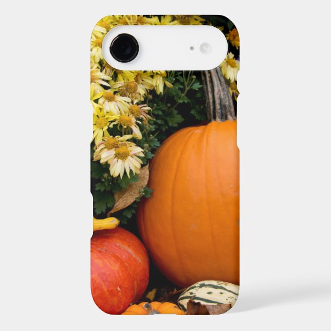 Colourful fall decorative pumpkin display Case-Mate iPhone case (Back)