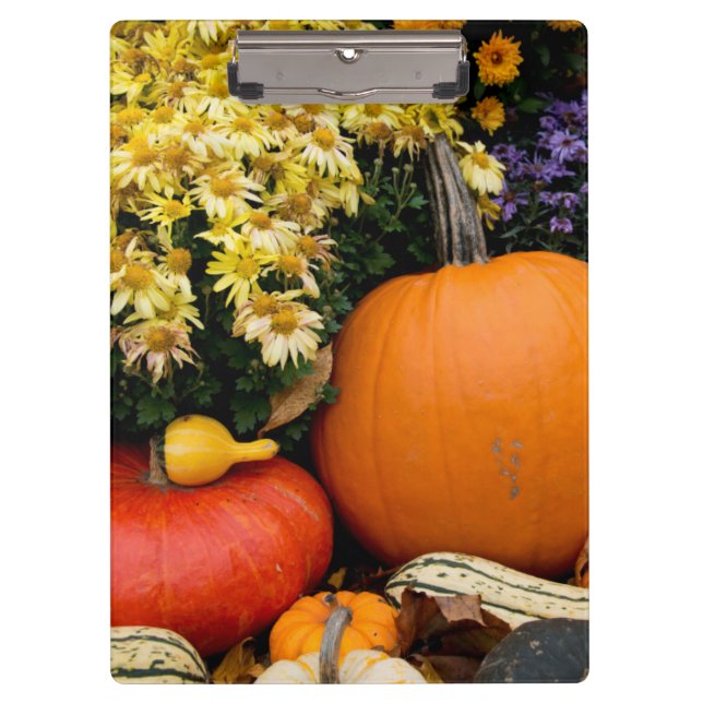 Colourful fall decorative pumpkin display clipboard (Front)