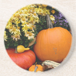Colourful fall decorative pumpkin display coaster