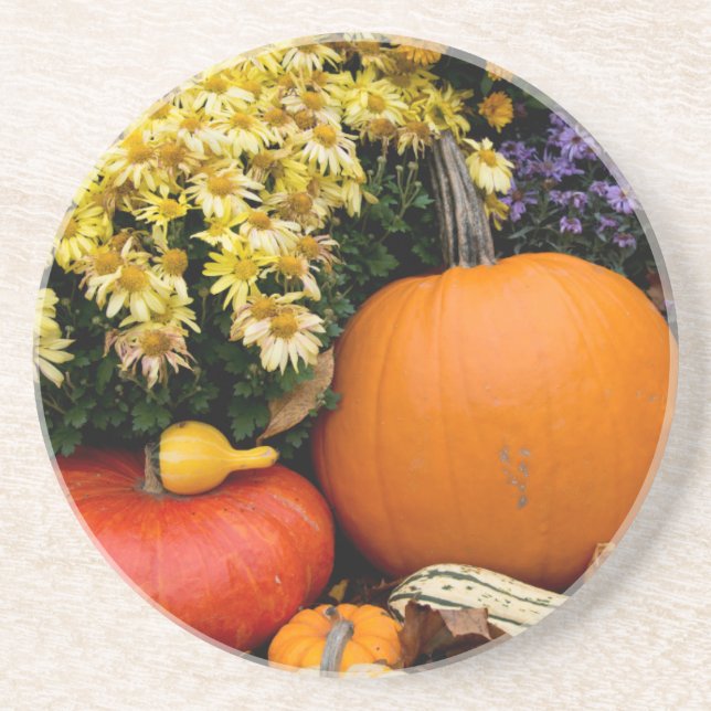 Colourful fall decorative pumpkin display coaster (Front)