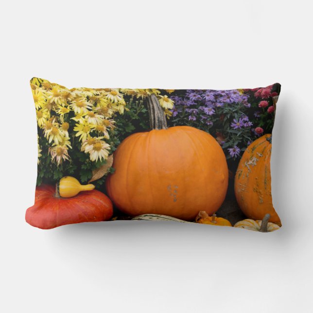 Colourful fall decorative pumpkin display lumbar cushion (Front)