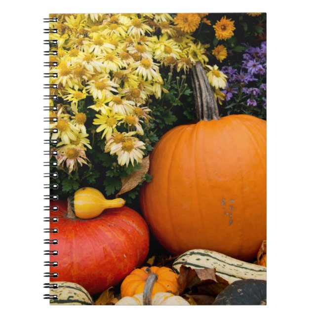 Colourful fall decorative pumpkin display notebook (Front)