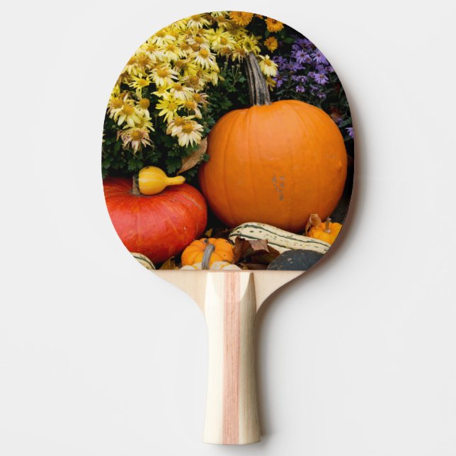 Colourful fall decorative pumpkin display ping pong paddle (Front)