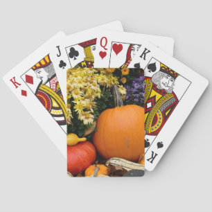 Colourful fall decorative pumpkin display playing cards