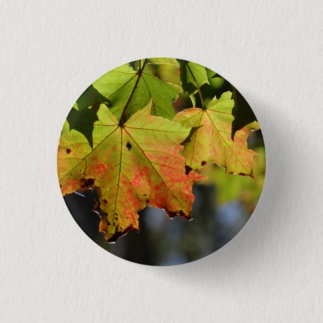 Colourful fall leaves 3 cm round badge (Front)