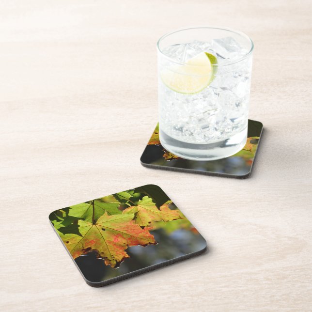 Colourful fall leaves coaster (Right Side)