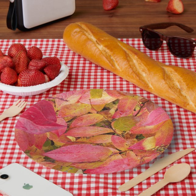 Colourful Fall Leaves Floral Paper Plate (Picnic)
