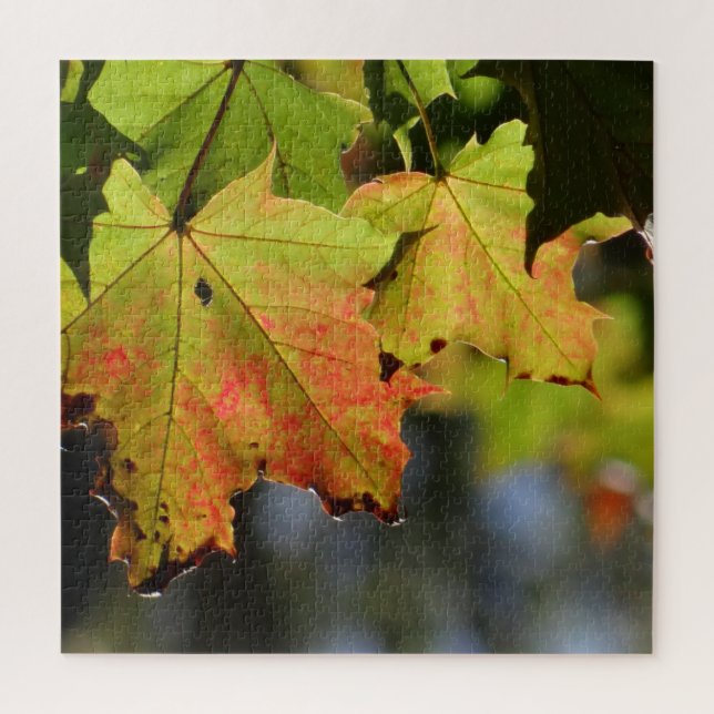 Colourful fall leaves jigsaw puzzle (Vertical)