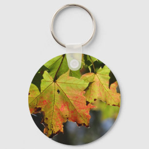 Colourful fall leaves key ring
