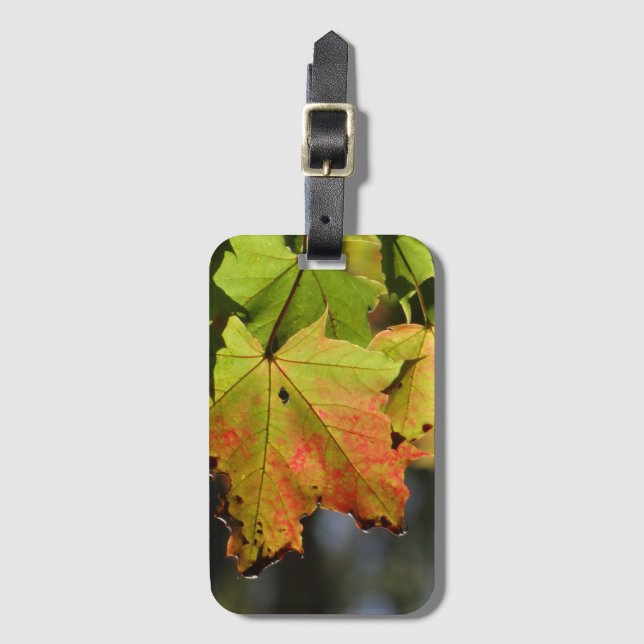 Colourful fall leaves luggage tag (Front Vertical)