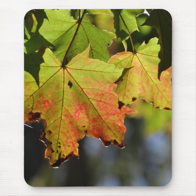 Colourful fall leaves mouse pad (Front)