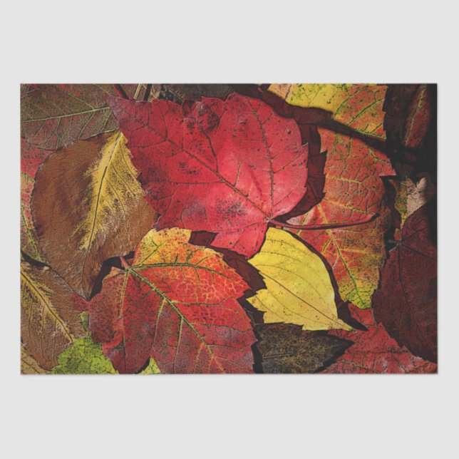 Colourful Fall Leaves Tissue Paper (Front)