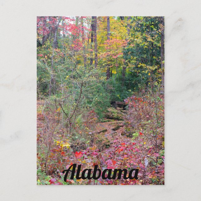 Colourful Fall Tree Collage Postcard (Front)