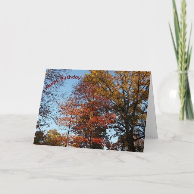 Colourful Fall Trees Happy Birthday Card (Front)