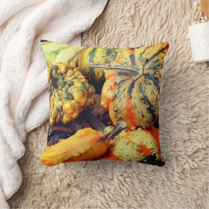 Colourful Fancy Gourds Close Up Cushion