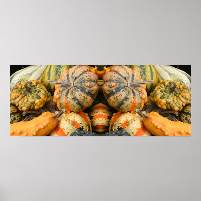 Colourful Fancy Gourds Close Up Mirror Abstract Poster (Front)