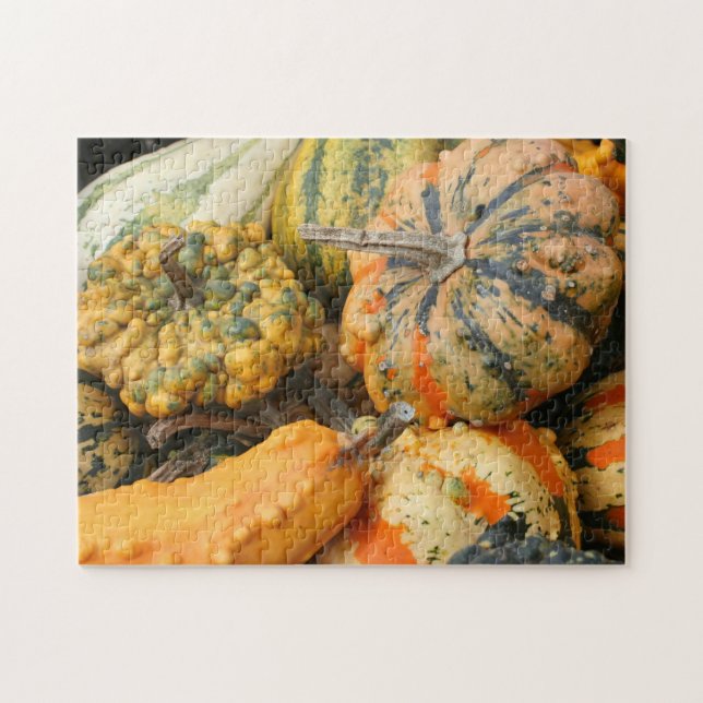 Colourful Fancy Gourds Fall  Jigsaw Puzzle (Horizontal)