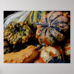 Colourful Fancy Gourds Photo Oil Painting Poster