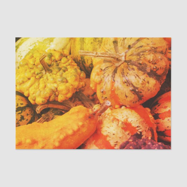 Colourful Fancy Gourds Vintage Decoupage  Tissue Paper (Front)