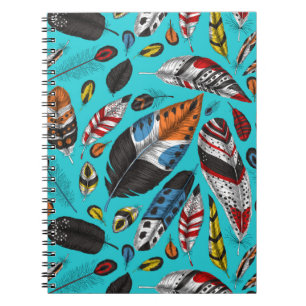 Colourful feathers notebook