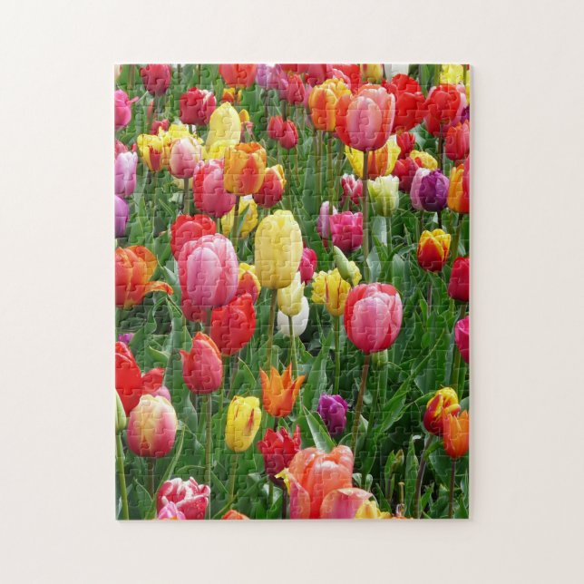 Colourful Field Of Tulips Flowers Jigsaw Puzzle (Vertical)