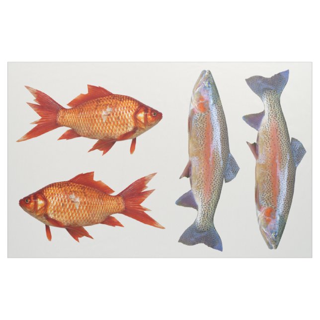 Colourful Fish Fat Quarter Fabric (Fat Quarter)