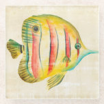 Colourful Fish Glass Coaster<br><div class="desc">Colourful Aquarium Fish 2 Artist: Chariklia Zarris</div>