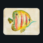 Colourful Fish Magnet<br><div class="desc">Colourful Aquarium Fish 2 Artist: Chariklia Zarris</div>