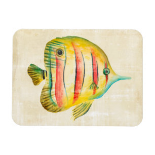 Colourful Fish Magnet