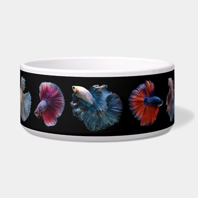 Colourful Fish pet bowls (Right)