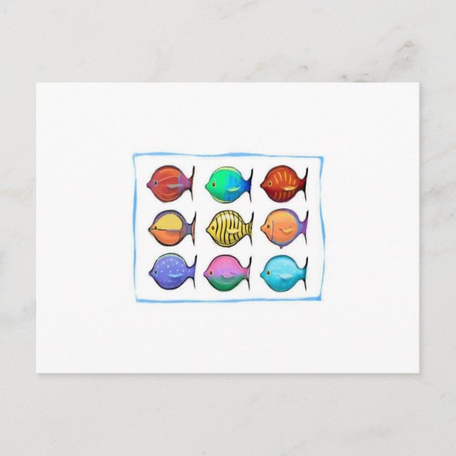 Colourful Fish Postcard (Front)