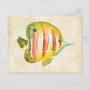 Colourful Fish Postcard