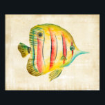 Colourful Fish Poster<br><div class="desc">Colourful Aquarium Fish 2 Artist: Chariklia Zarris</div>