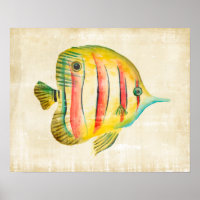 Colourful Fish