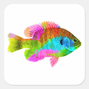 Colourful Fish Square Sticker