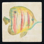 Colourful Fish Stone Coaster<br><div class="desc">Colourful Aquarium Fish 2 Artist: Chariklia Zarris</div>
